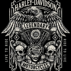 Motorcycle